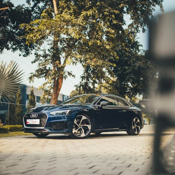 Audi RS5 Car