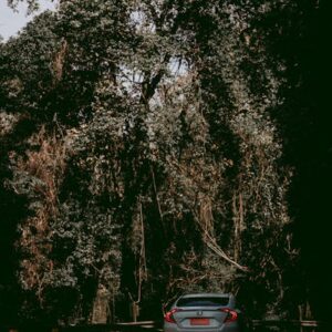 Honda Passport Car