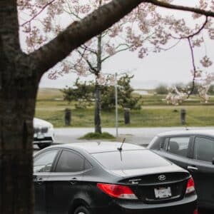 Hyundai Accent Canada 3