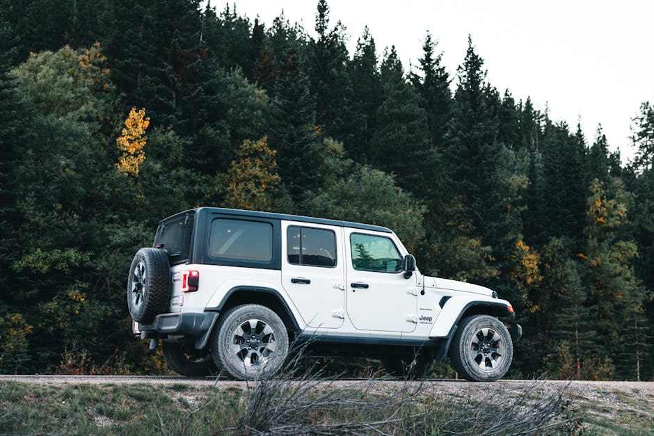 Jeep Wrangler 3